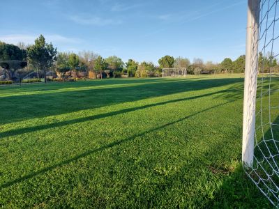 Campo de futbol